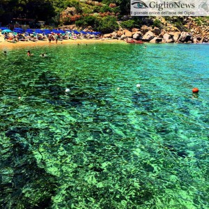 Un tuffo dove l'acqua è più... Blu(?) #giglio #giglioisland #isoladelgiglio #toscana #maremma #italy #Tuscany #maremmalocal #mare #sea #instaitalia #crystalwater