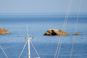 gabbianara isola del giglio giglionews foto giacomo mollo