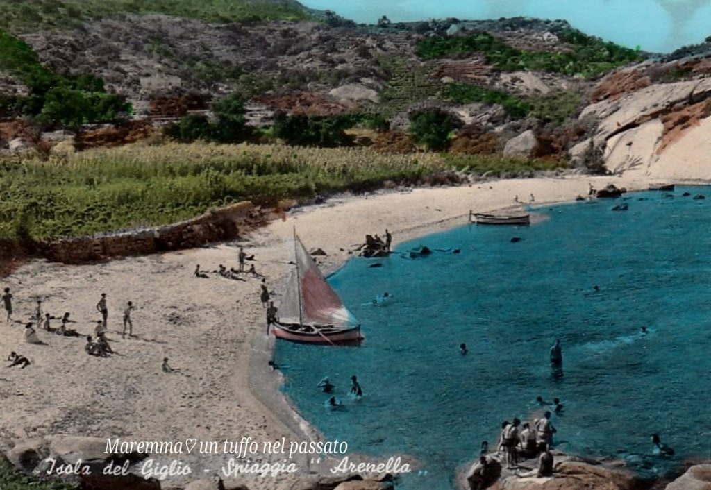 sorella renella poesia tonino ansaldo arenella isola del giglio giglionews