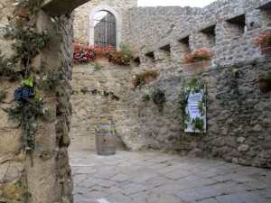 festa delle cantine aperte isola del giglio castello giglionews