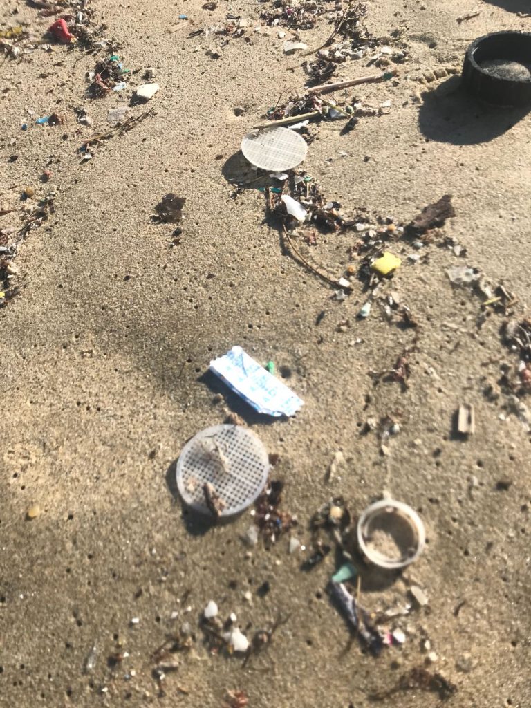 dischetti plastica mare isola del giglio giglionews
