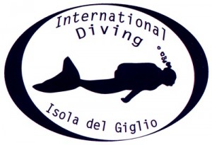 international diving isola del giglio giglionews