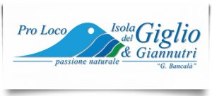 operaio impiegati assemblea ordinaria associazione pro loco g. bancalà isola del giglio giglionews