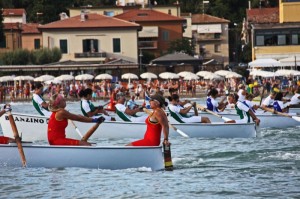 palio della maremma castiglione isola del giglio giglionews