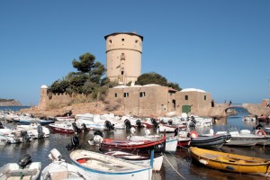 porticciolo torre isola del giglio campese giglionews