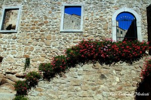 pubblica assistenza isola del giglio giglionews croce rossa