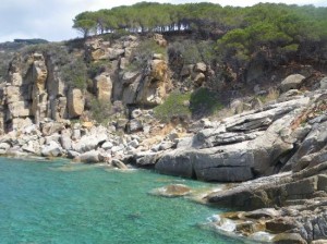 sparavieri forno bongiovanni isola del giglio glgionews