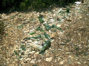 spazzatura giannutri operazione coste pulite isola del giglio giglionews legambiente