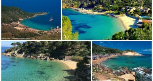 Riflessione sulle nuove Concessioni Demaniali Marittime