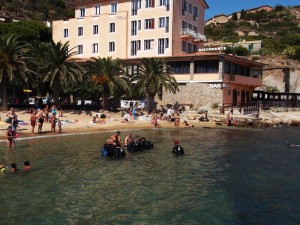 tutti sott'acqua international diving isola del giglio giglionews