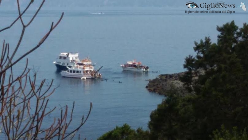 giannutri legambiente ancoraggio isola del giglio giglionews