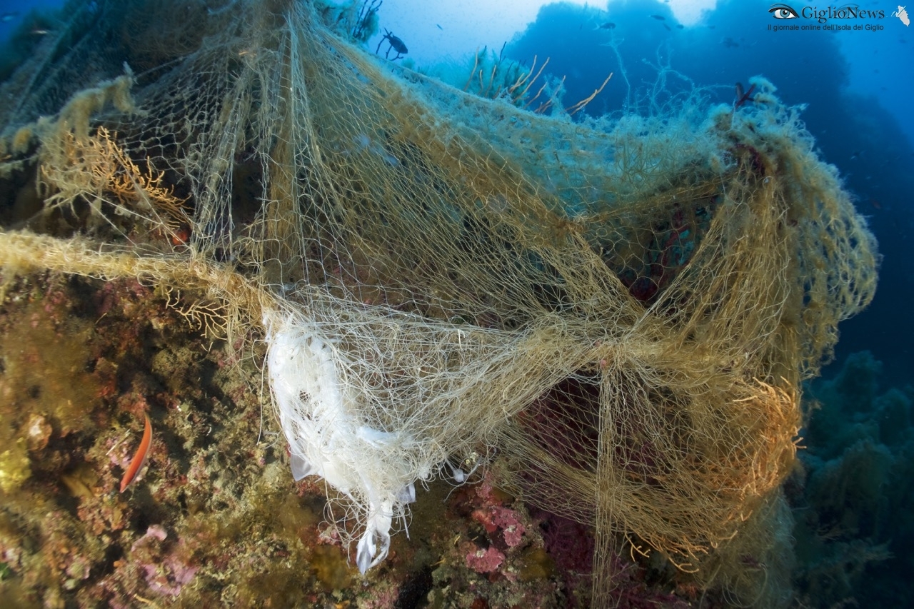 pulizia fondali giannutri parco arcipelago toscano comune isola del giglio giglionews