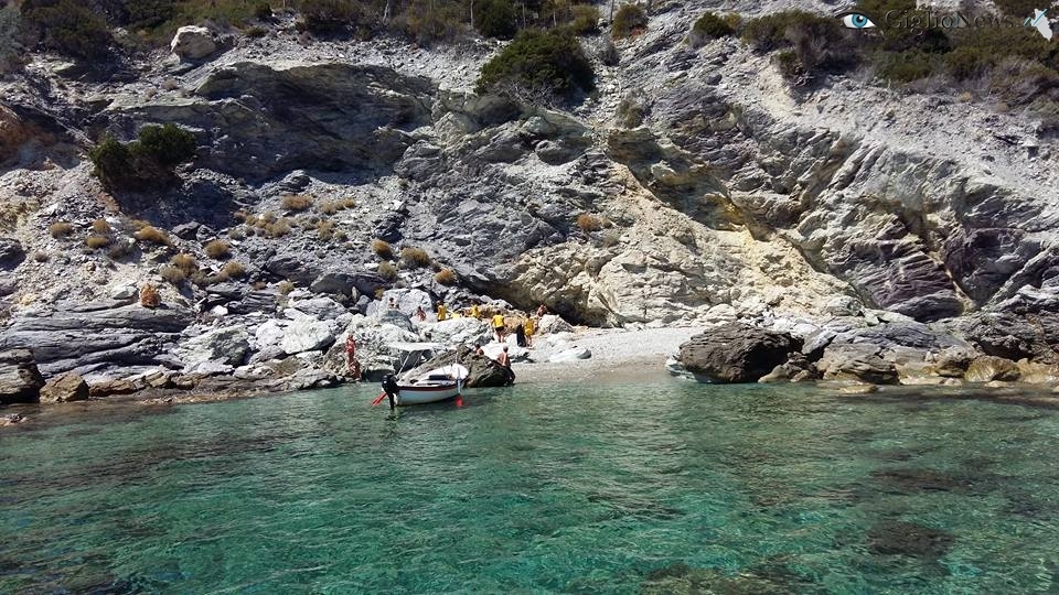 pulizia spiagge legambiente parco isola del giglio giglionews