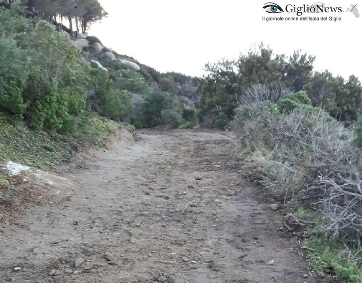 strada fenaio legambiente isola del giglio giglionews