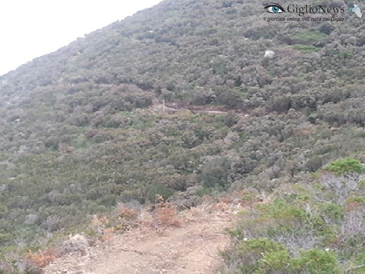 strada fenaio legambiente isola del giglio giglionews