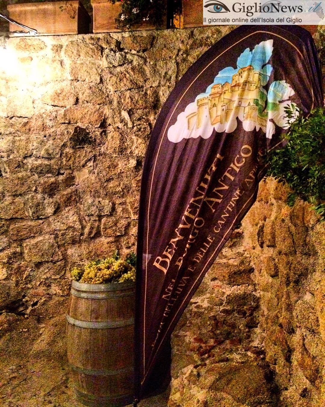 festa delle cantine isola del giglio giglionews