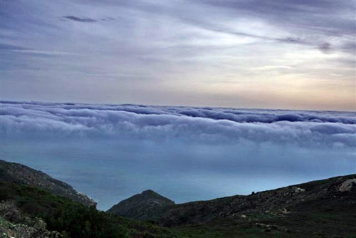 <p>NEBBIA MARINA SPETTACOLARE</p>