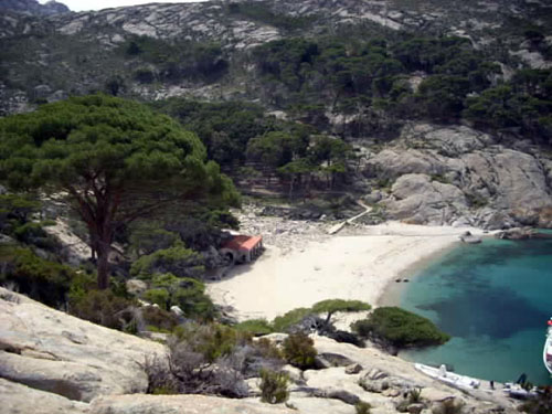 bando visita montecristo isola del giglio giglionews