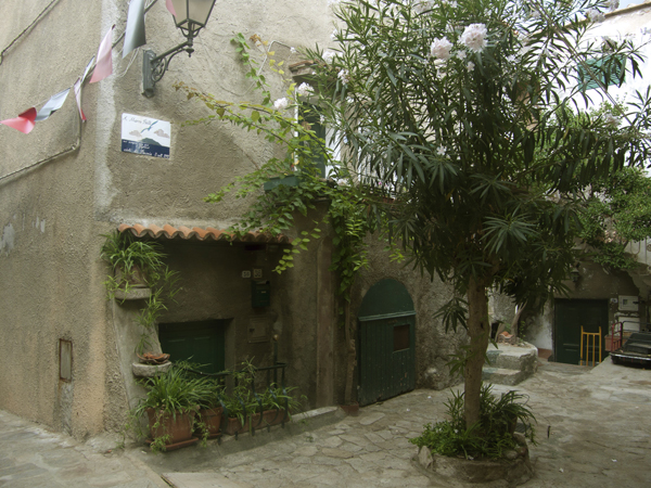 marco betti isola del giglio giglionews