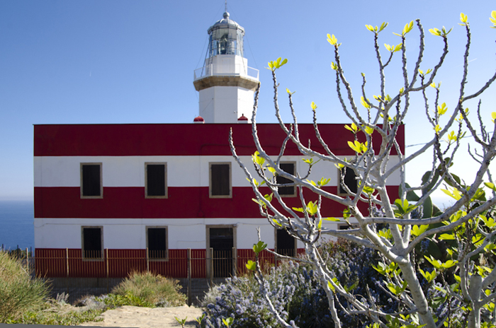 faro isola del giglio capel rosso giglionews guardiano