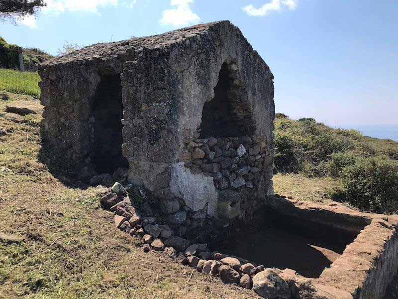 Zona Pianello, palmento con edicola isola del giglio giglionews