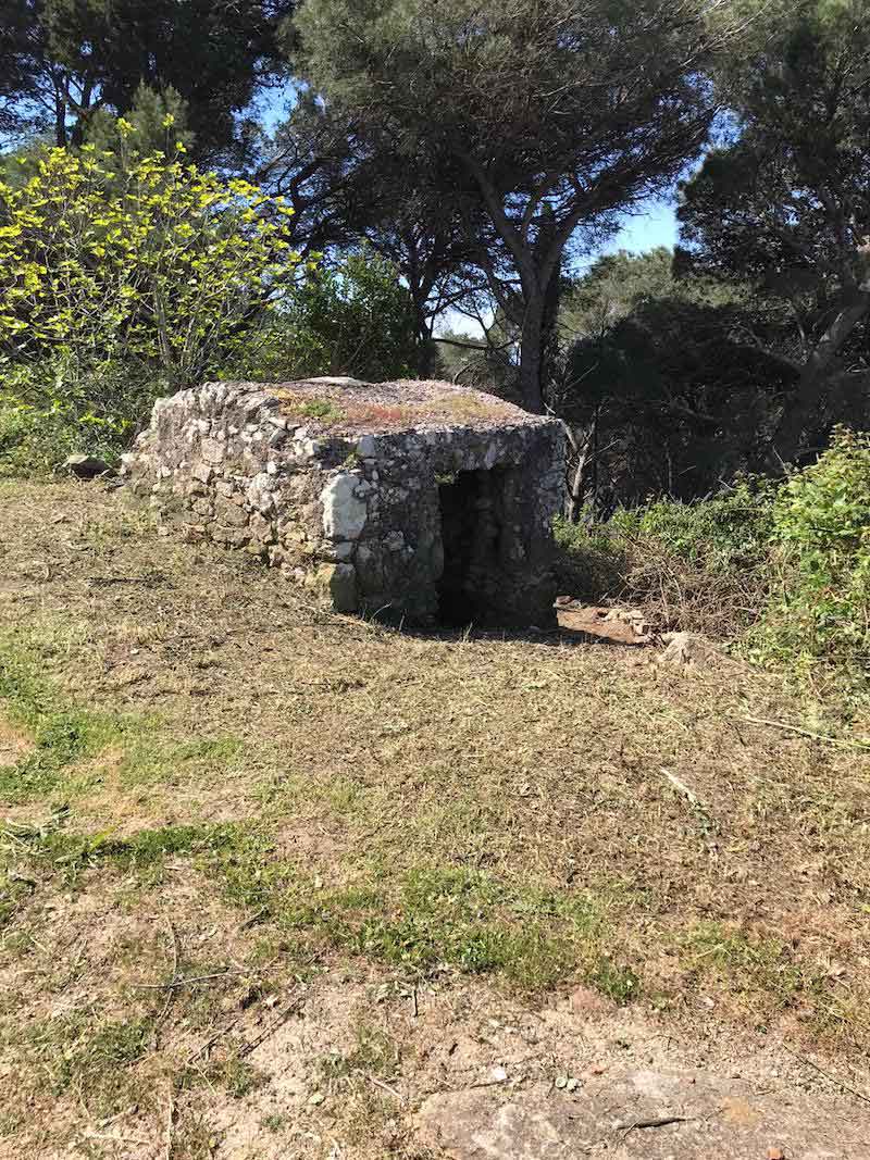 Zona Madonna Battista, resti di palmento isola del giglio giglionews