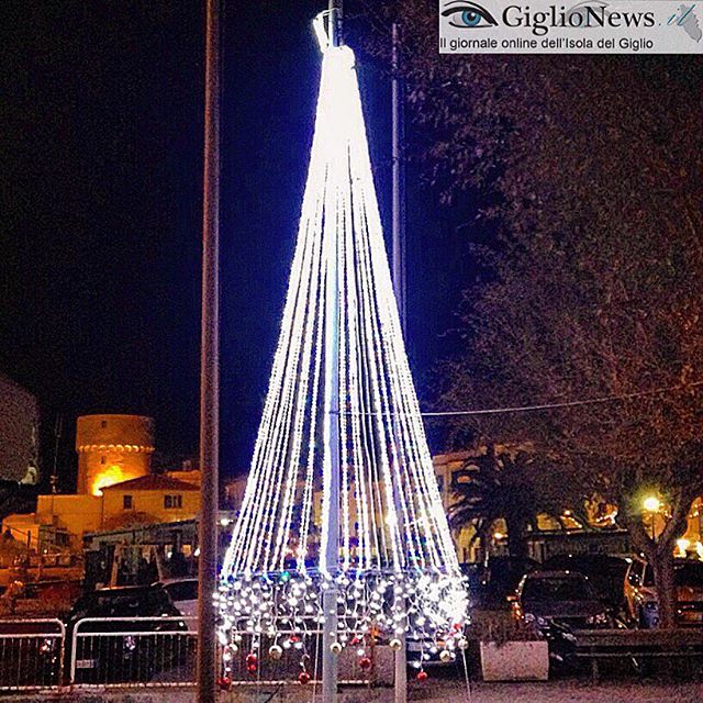 buon natale albero isola del giglio porto san lorenzo giglionews