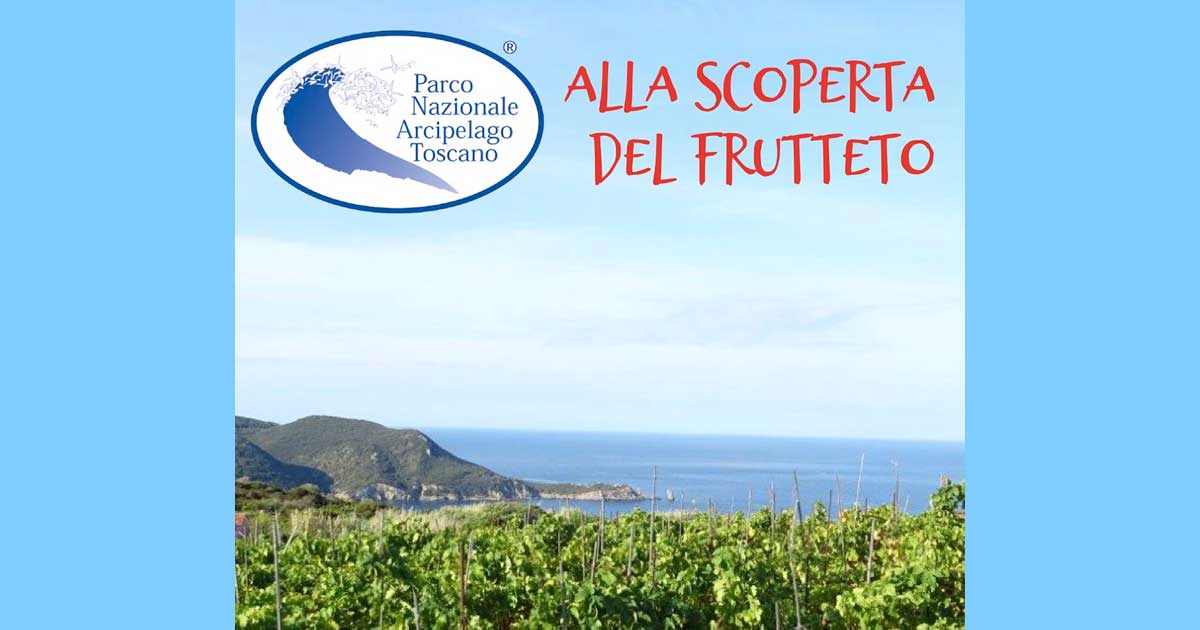 alla_scoperta_del_frutteto150722_rit