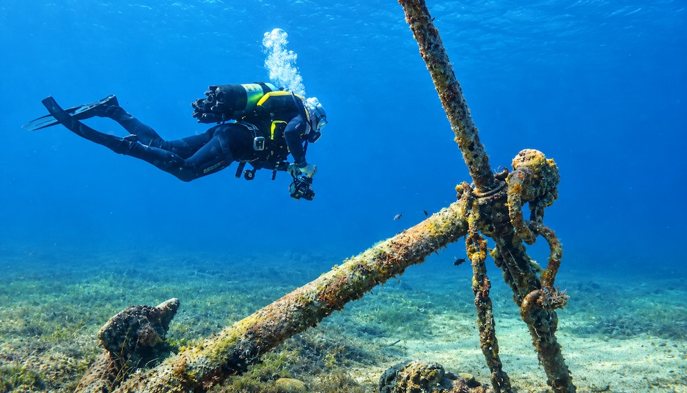 ancora isola del giglio campese giglionews