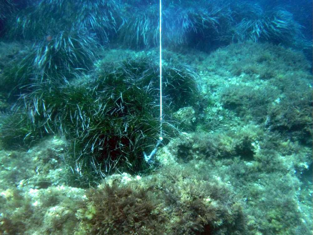 ancoraggio selvaggio giannutri legambiente arcipelago toscano isola del giglio giglionews