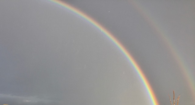 arcobaleno palma silvestri isola del giglio giglionews