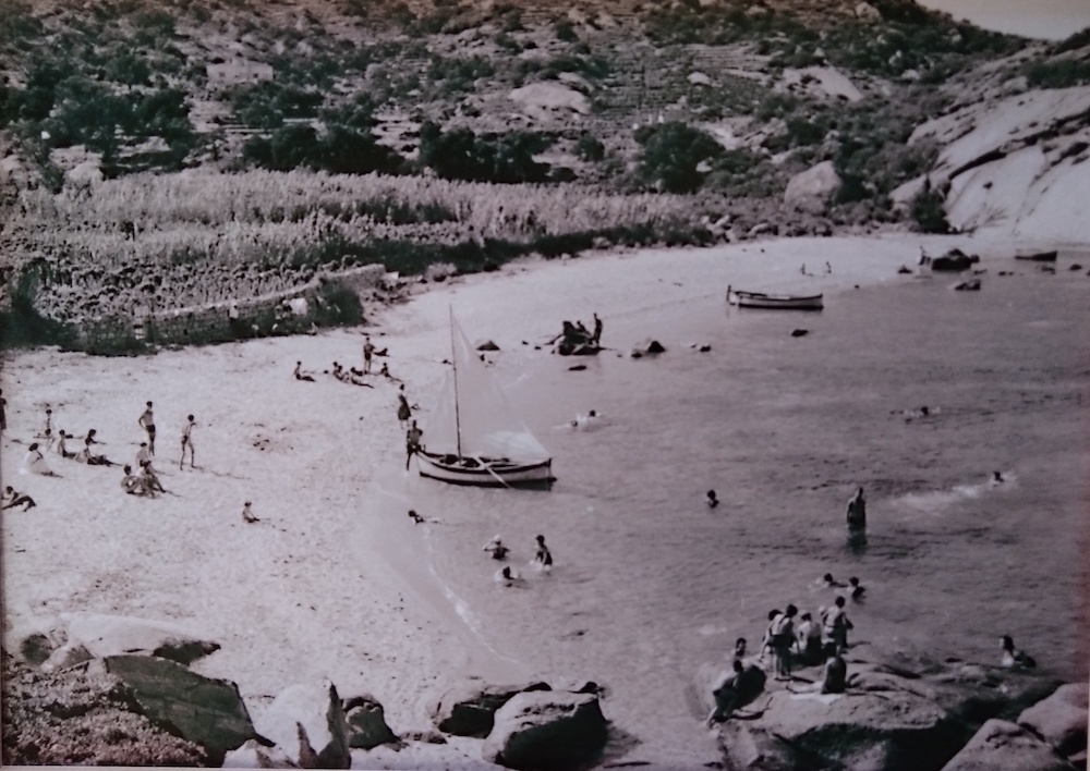 spiaggia arenella isola del giglio giglionews