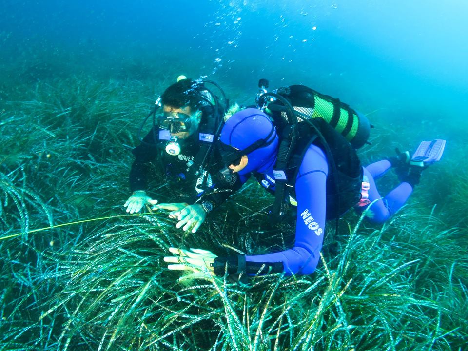 asbi subacquea isola del giglio campese giglionews