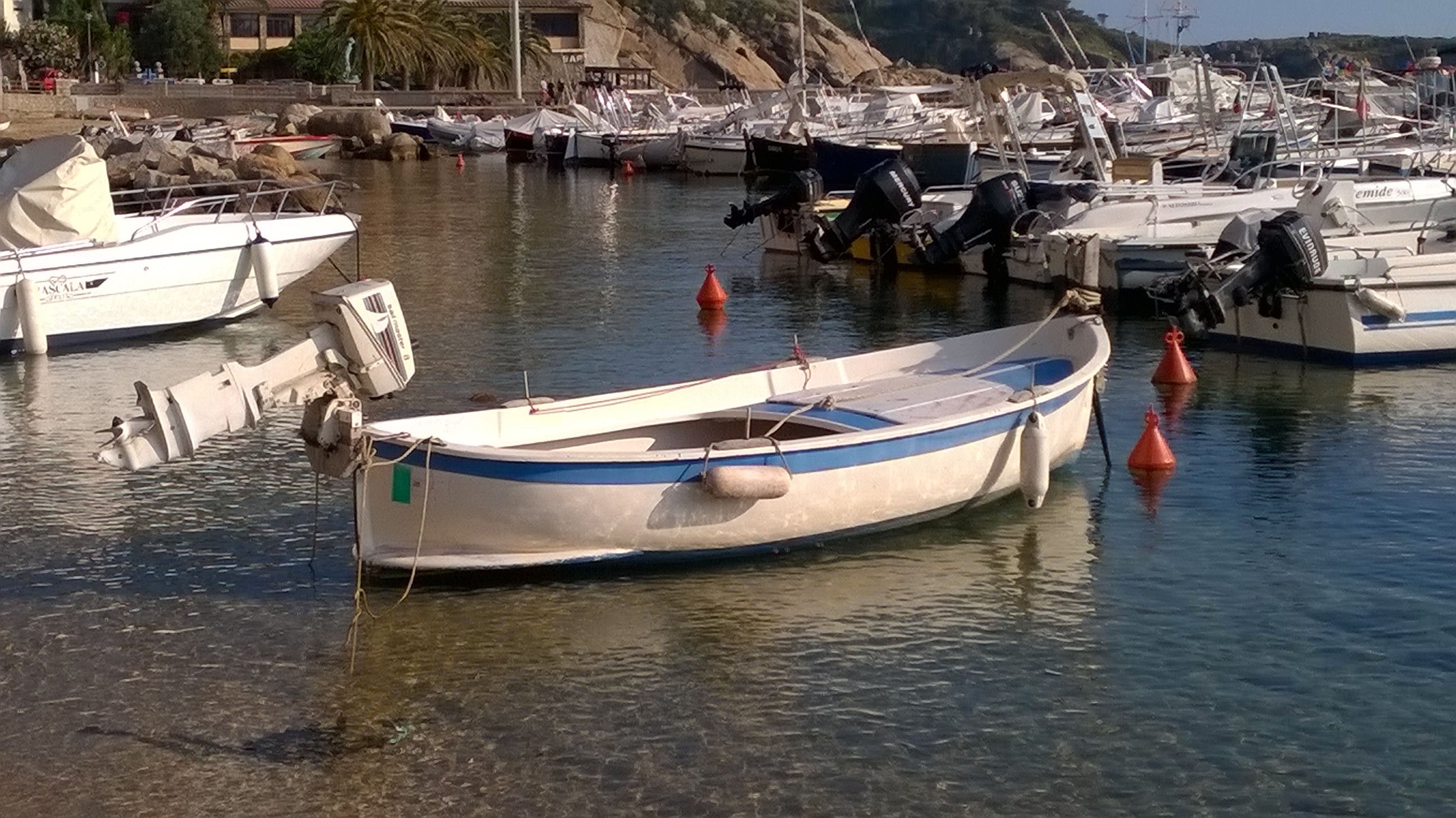 supporto motore gozzo francesco narduzzi isola del giglio giglionews