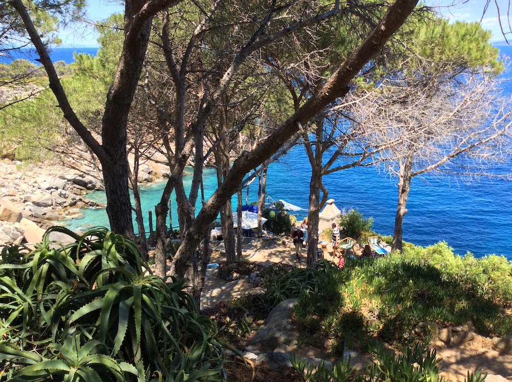 escursione cala degli alberi isola del giglio giglionews