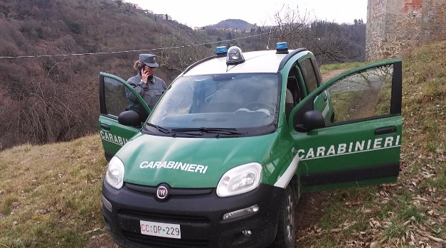 carabinieri forestali forestale isola del giglio giglionews