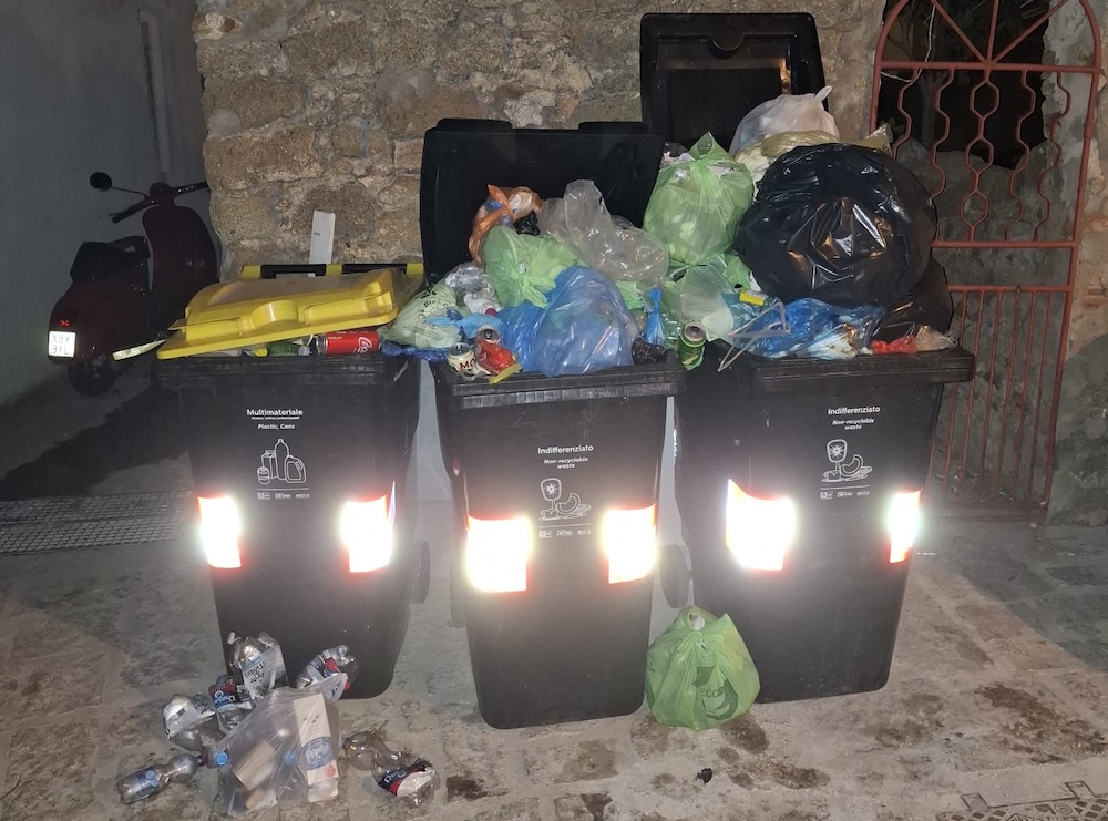 cassonetti_via_del_castello130826_2