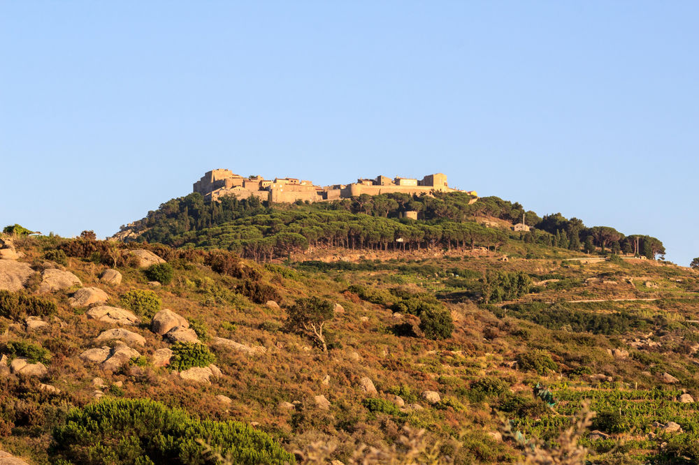 serena puosi leggenda san mamiliano isola del giglio castello giglionews