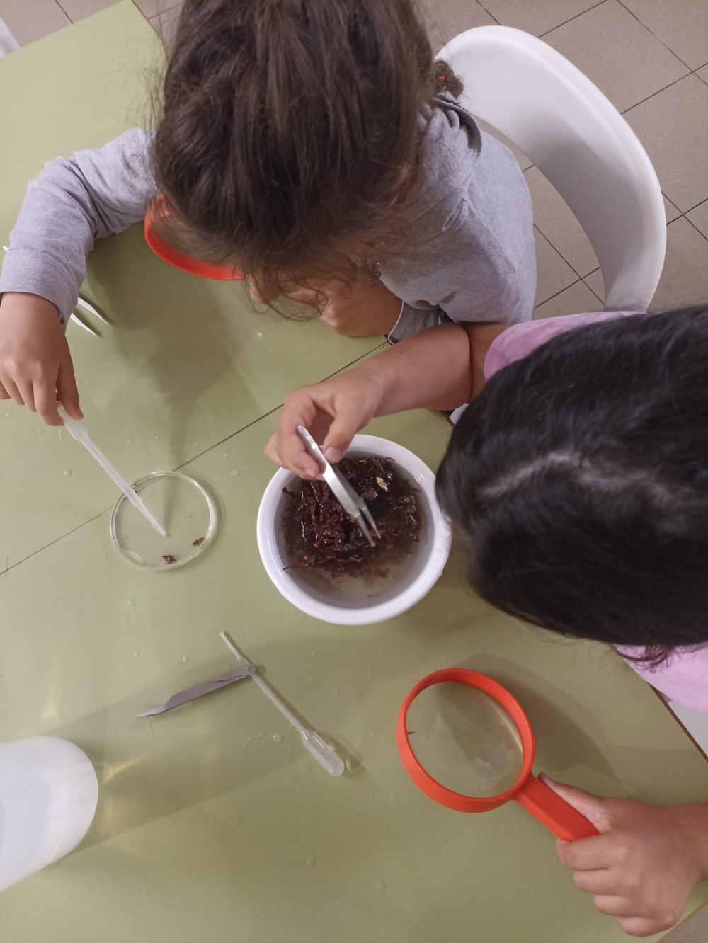 centro_biologia_scuole150625_2