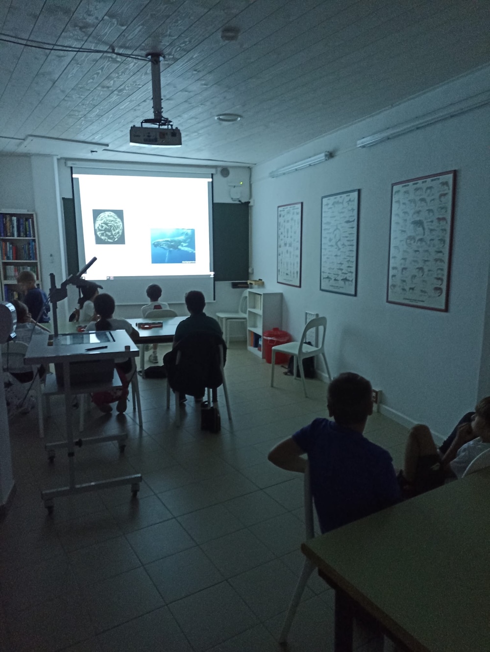 centro_biologia_scuole150625_3
