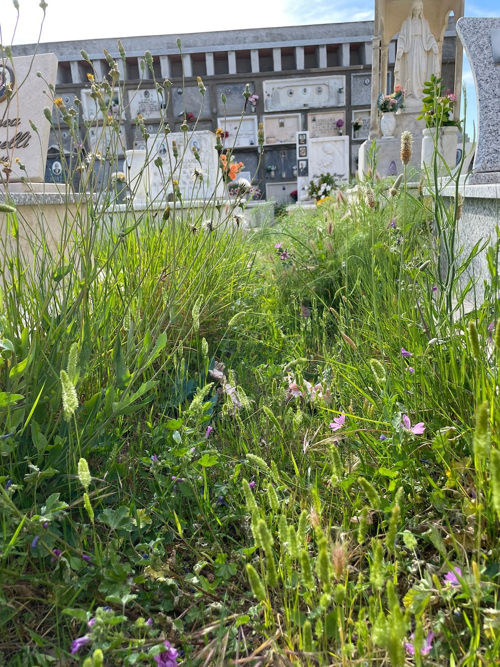 cimitero_castello260526_1