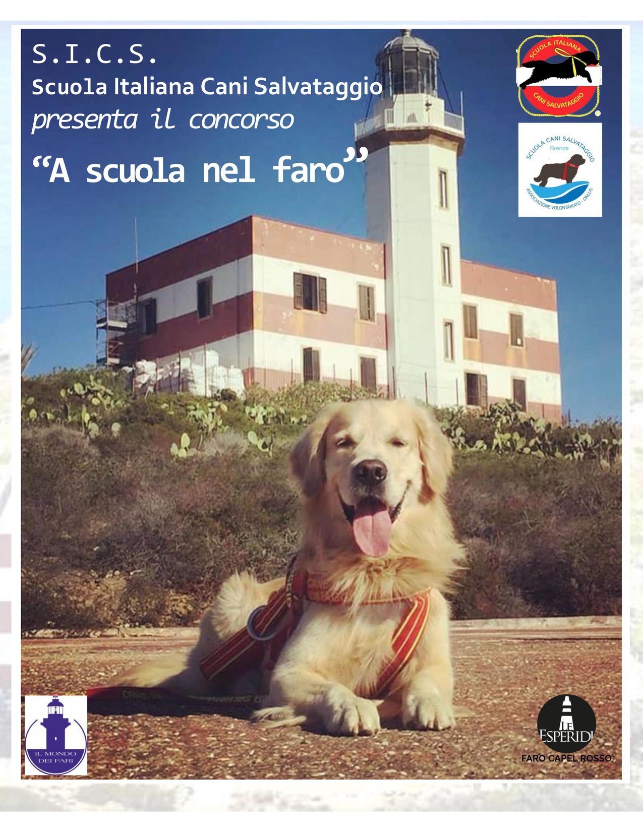 concorso scuola faro cani salvataggio isola del giglio capel rosso giglionews