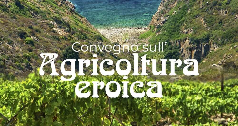 convegno_agricoltura_eroica_180524_1_rit