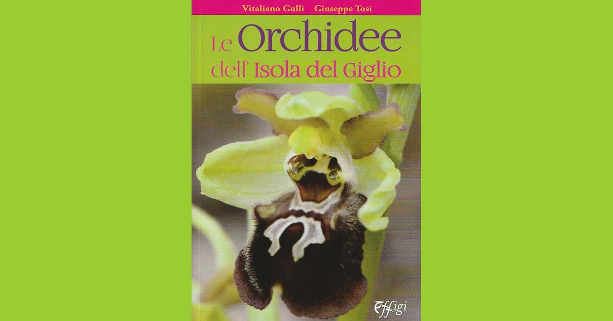 copertina orchidee isola del giglio giglionews