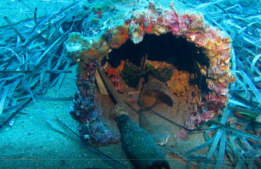 copertina underwater pro tour isola del giglio giglionews