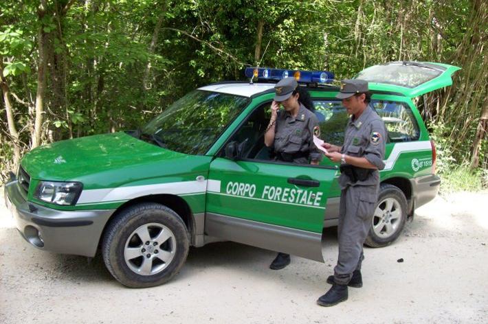 corpo forestale dello stato isola del giglio giglionews