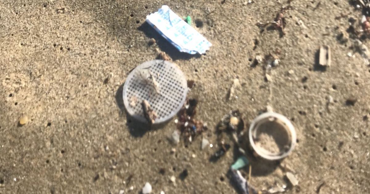 dischetti plastica mare isola del giglio giglionews
