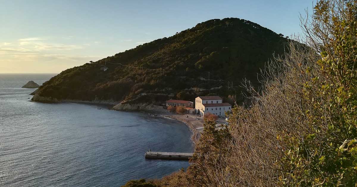 enfola sede parco arcipelago toscano elba isola del giglio giglionews