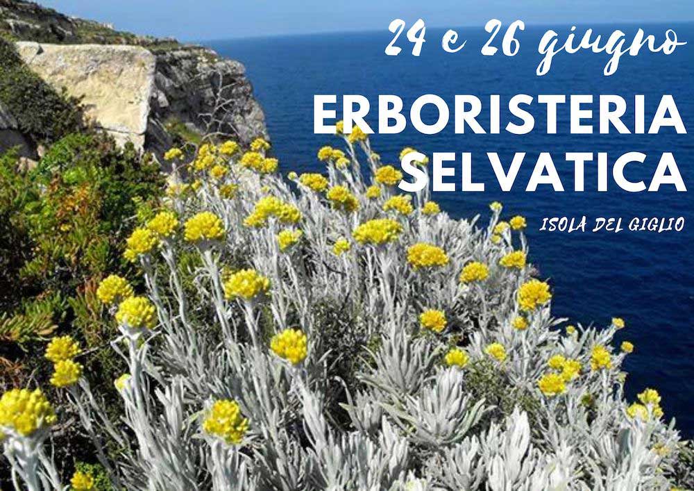 erboristeria selvatica isola del giglio giglionews