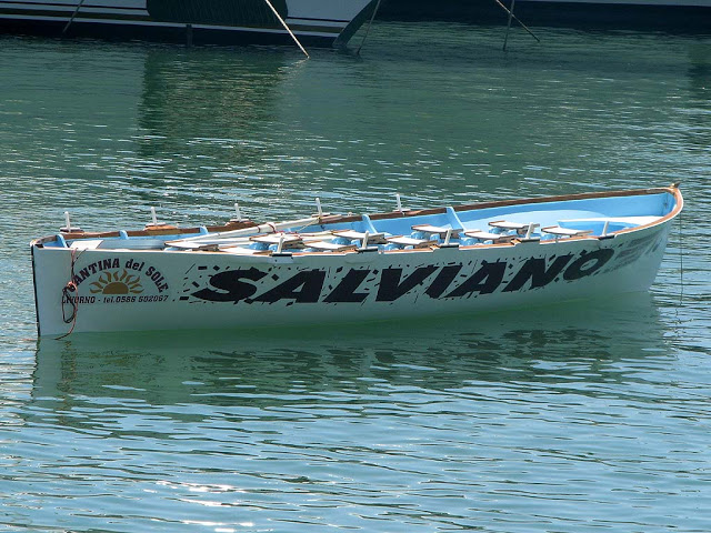 esempio decorazione soluzione c palio marinaro isola del giglio giglionews